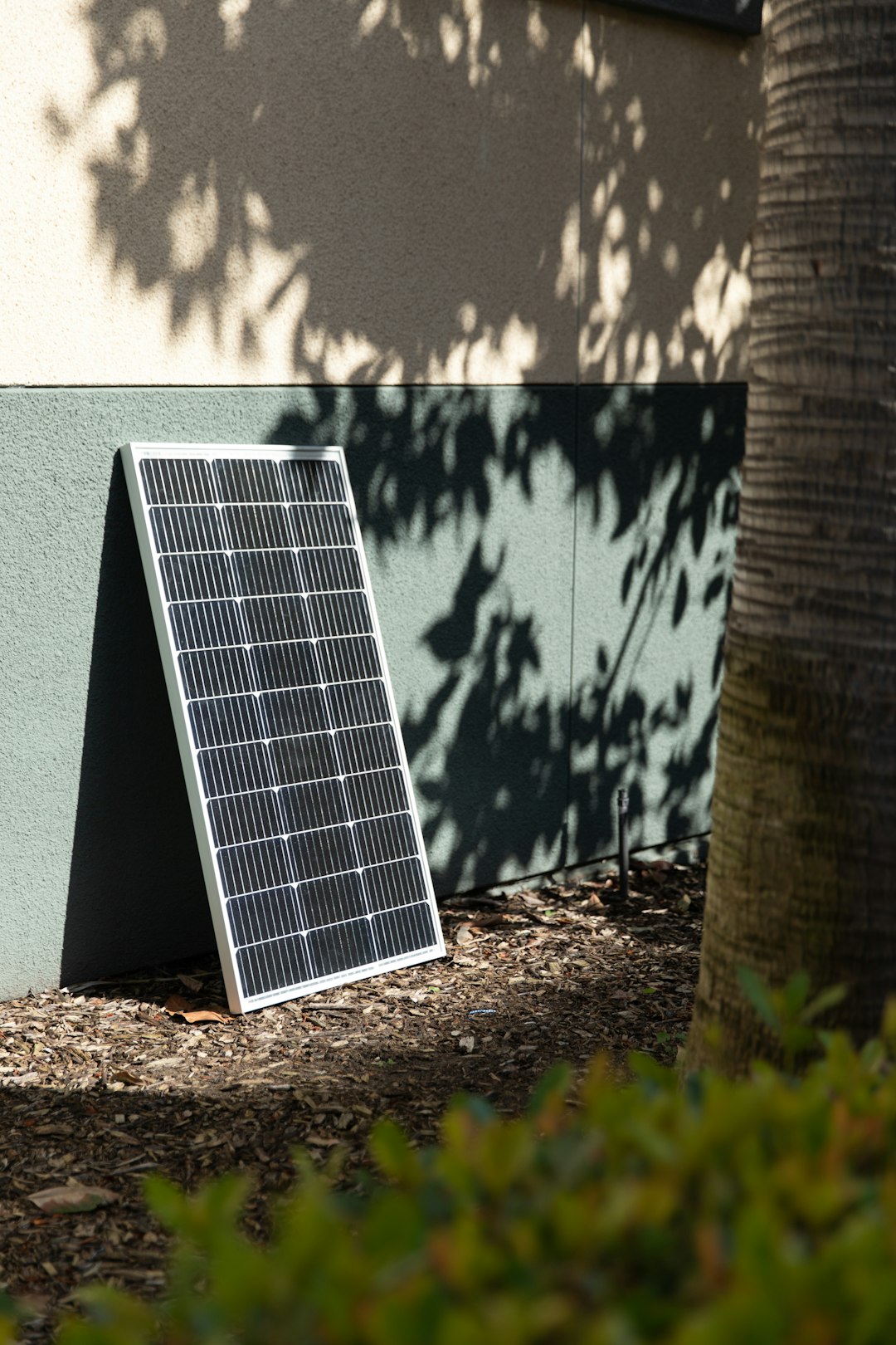 a-solar-panel-sitting-next-to-a-tree-bt6bgci-8uo