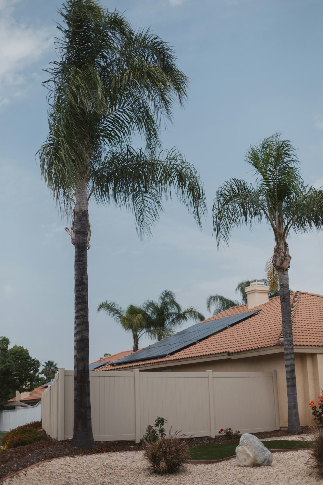gallery-05 Vivint Solar - Solar Panels on terra cotta roof with palm trees in a tropical paradise like Florida, California, or Hawaii.