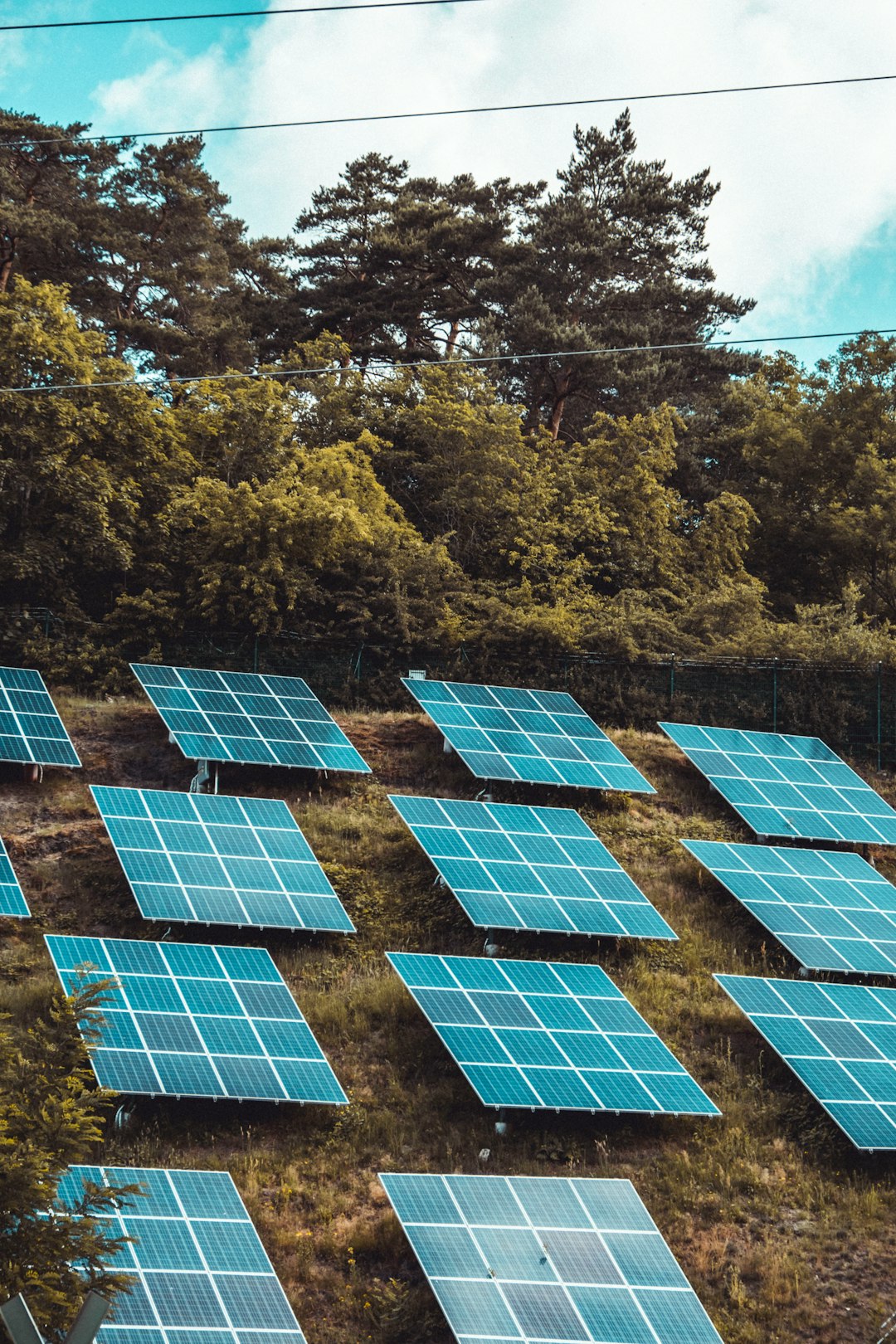 embark solar-panels-on-green-trees-during-daytime-mrbywmrexh8